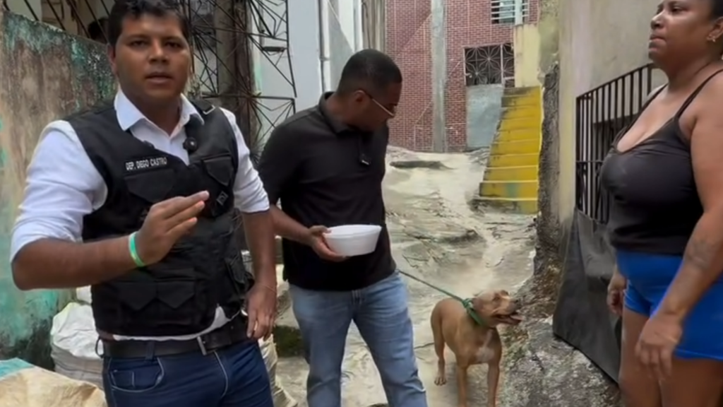 Deputado Diego Castro denuncia espancamento de cadela e cobra rigor da Polícia Civil