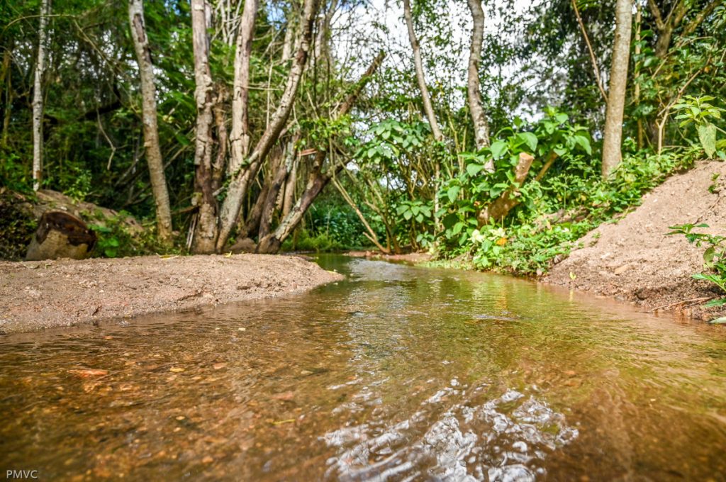 Reserva Florestal do Poço Escuro é revitalizada e amplia preservação ambiental em Vitória da Conquista
