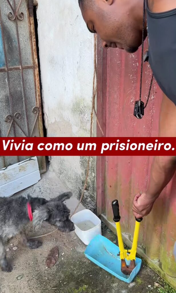 Deputado Diego Castro acompanha denúncia de maus-tratos a animais e cobra providências na Bahia