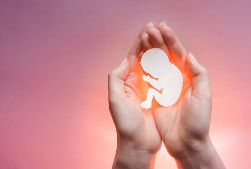 Histórico do PT sobre o aborto gera críticas e expõe divergência sobre a defesa da vida